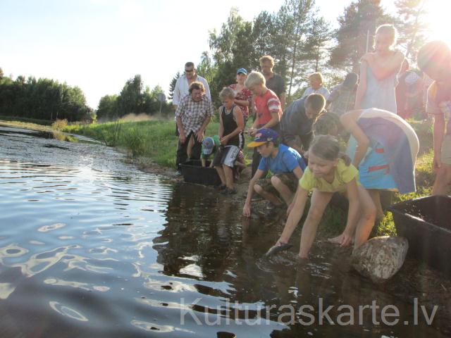 Zivju mazuļu laišana 2015